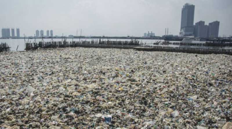 Sampah Teluk Jakarta