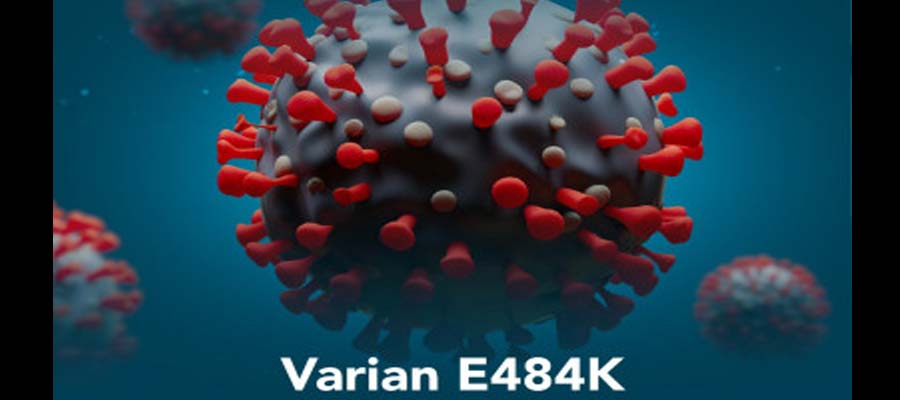 Virus Corona Varian E484K