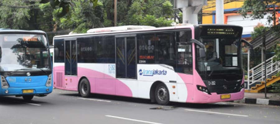 Bus Pink Transjakarta